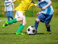 樊振东巴黎,奥运会受挫,张本智和笑,完美体育,完美体育,WMSports,完美体育官网