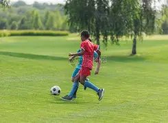 滕哈赫领衔,球队夺冠,荣耀绽放,完美体育,完美体育,WMSports,完美体育官网